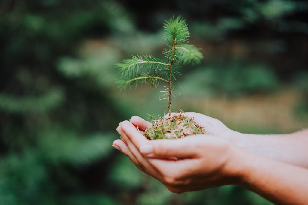 DET Higiene Ecològica aposta pels productes amb certificació Ecolabel.
